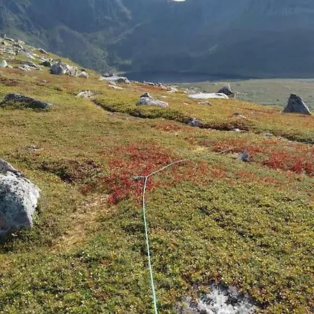 House In Quiet Vally, In The Middel Of Lofoten וילה